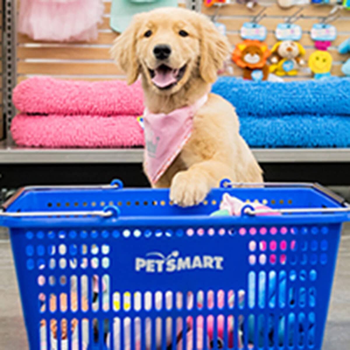 PetSmart in Colorado Springs at First & Main Town Center offers in-store shopping, curbside pickup, and delivery for pet products and services.